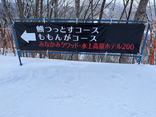 初投稿